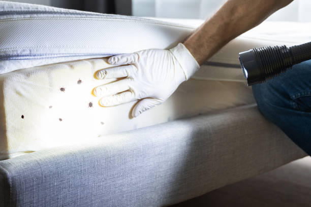 Best Commercial Pest Control Services  in East Hills, NY
