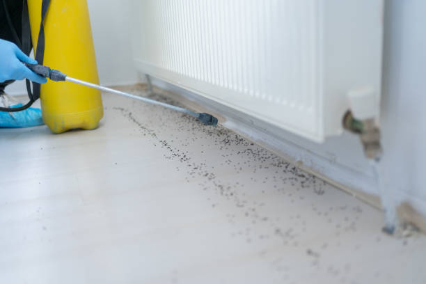  East Hills, NY Pest Control Pros