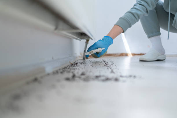 Best Local Pest Control Services  in East Hills, NY