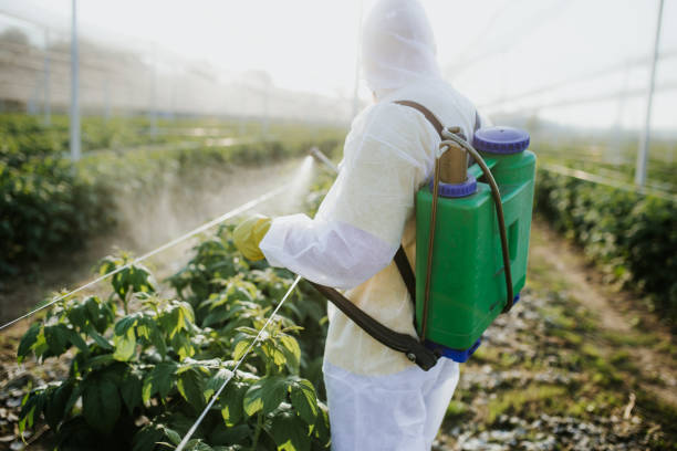 Best Mosquito Control Services  in East Hills, NY
